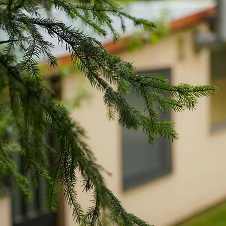 House Jursport * Závažná Poruba