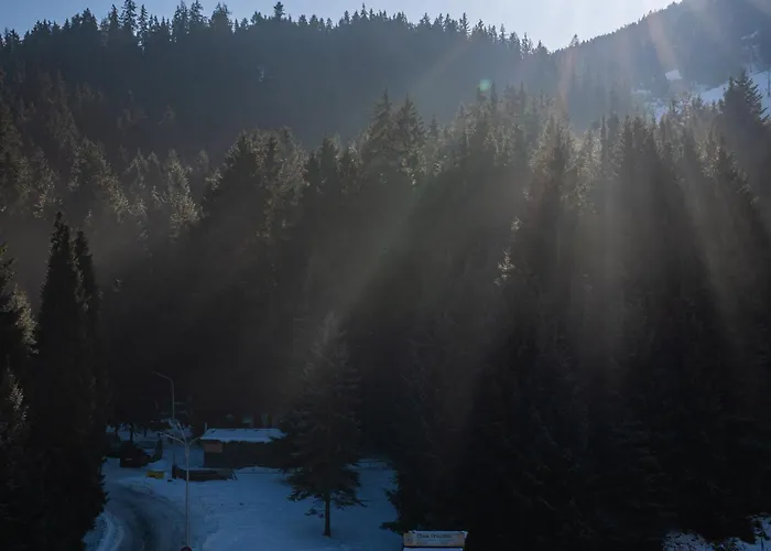 House Jursport Apartment